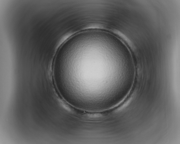 X0000115371129200911101241