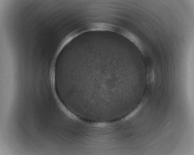 X0000115371130200911101241