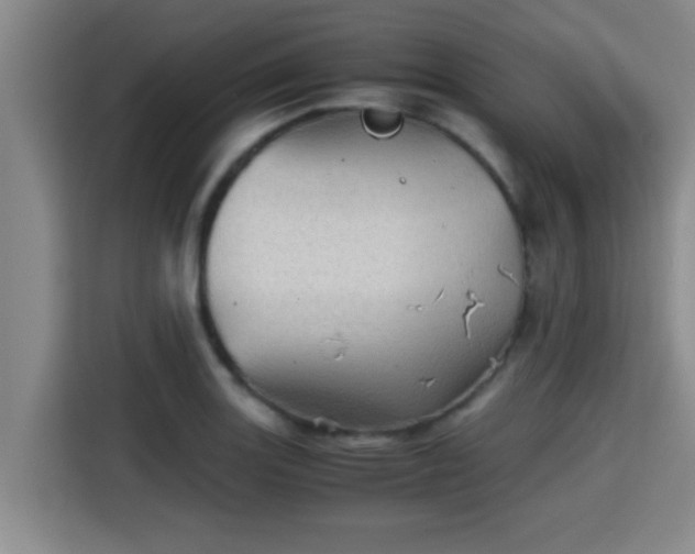 X0000115371131200911101241