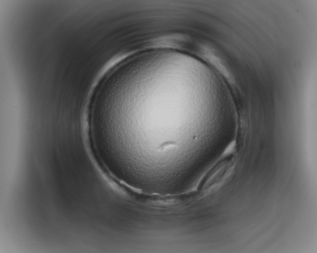 X0000115371133200911101241