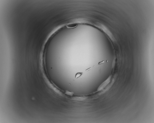 X0000115371134200911101241