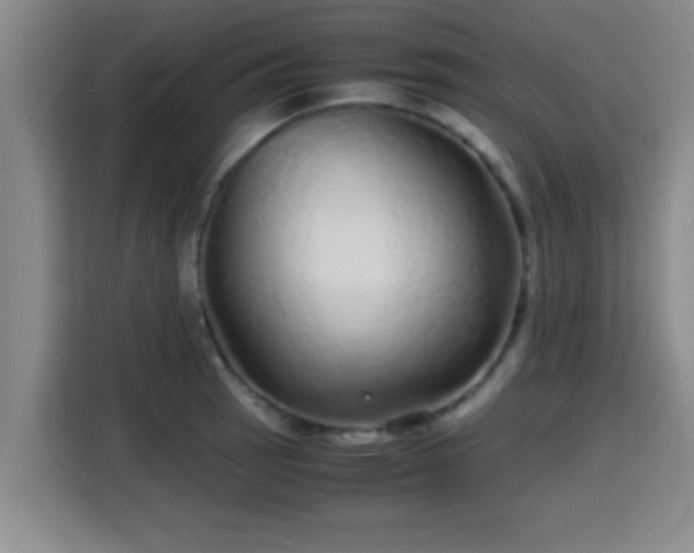 X0000115371137200911101241