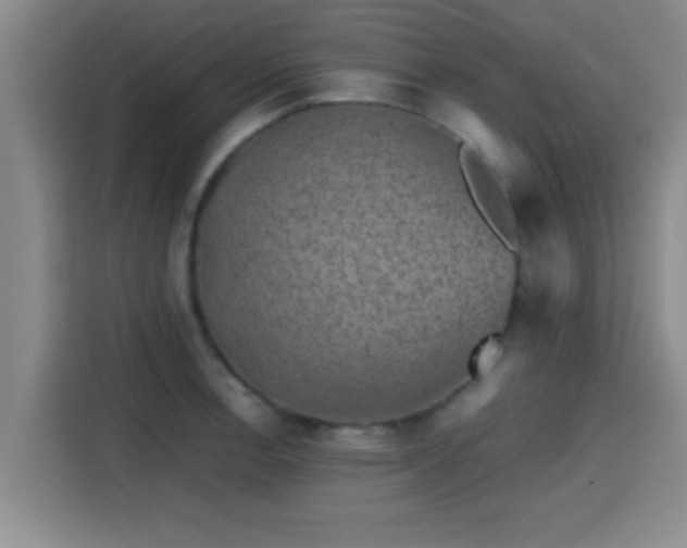 X0000115371138200911101241