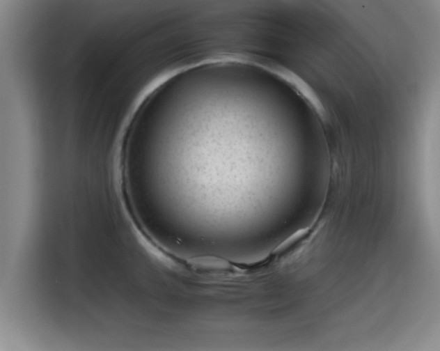 X0000115371143200911101241