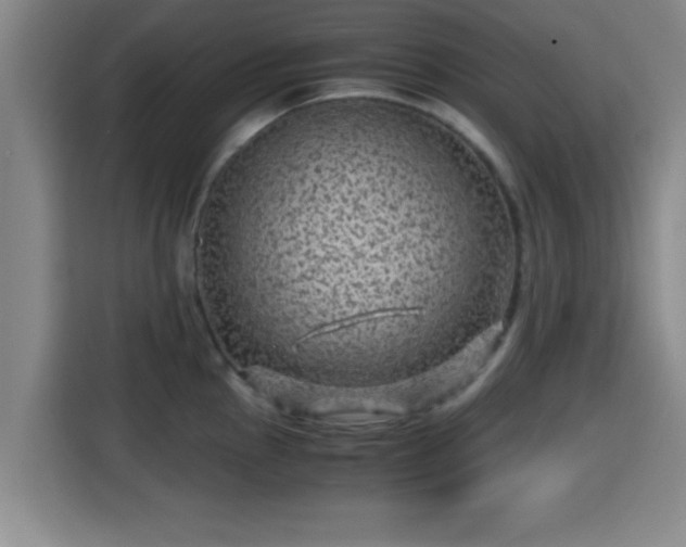 X0000115371145200911101241