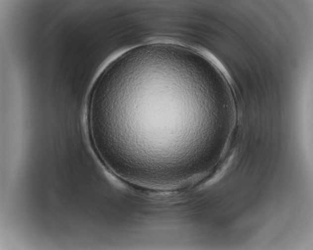 X0000115371149200911101241