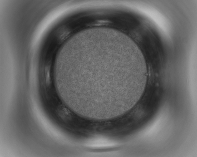 X0000115371150200911101241
