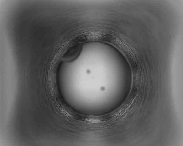 X0000115371153200911101240