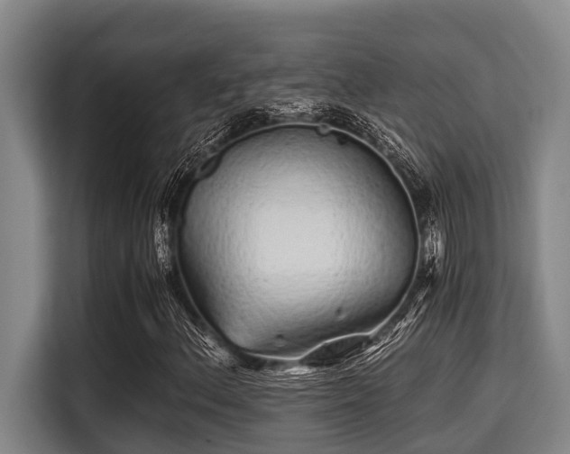 X0000115371156200911101240