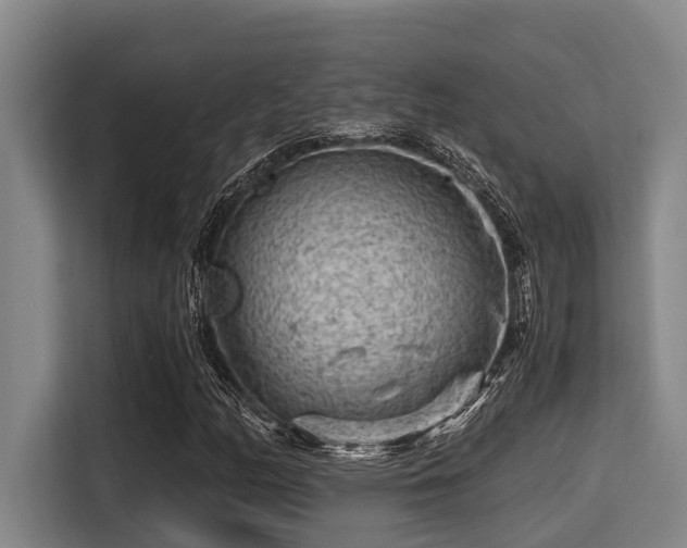 X0000115371158200911101240