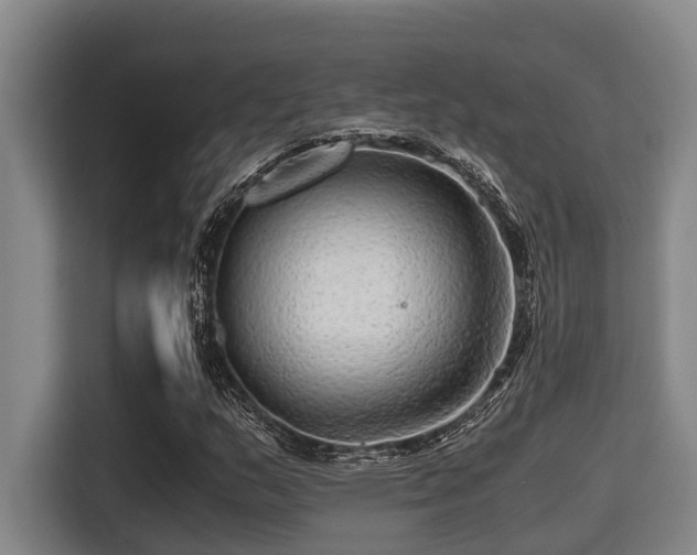 X0000115371159200911101240