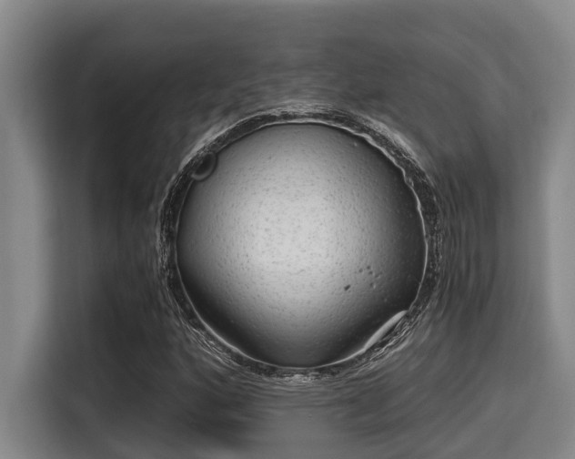 X0000115371160200911101240
