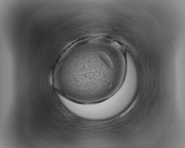 X0000115371161200911101240
