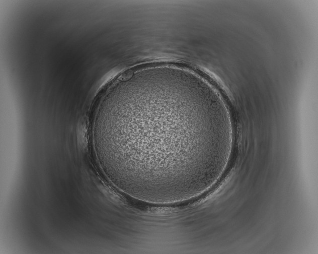 X0000115371163200911101240