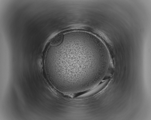 X0000115371164200911101240