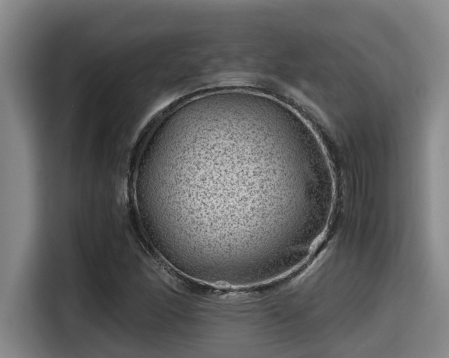 X0000115371166200911101240