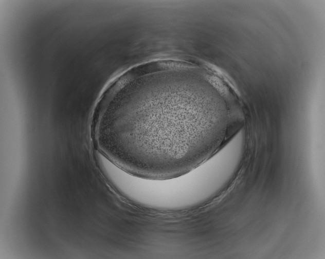 X0000115371168200911101240