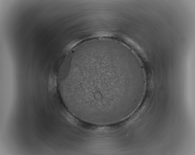 X0000115371169200911101240