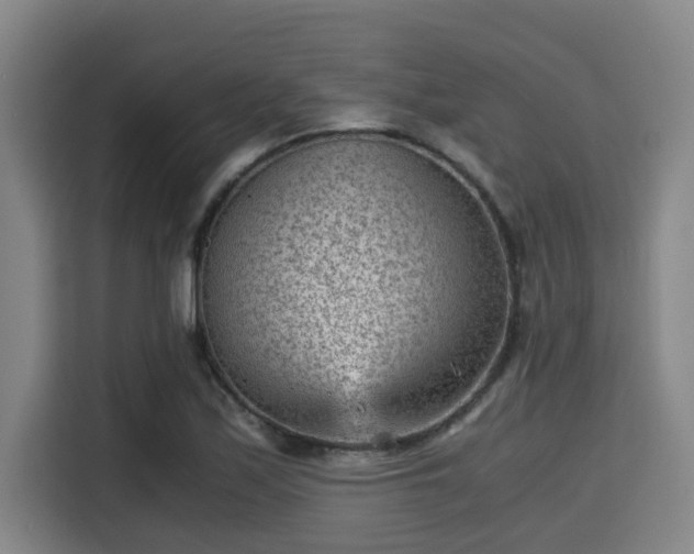 X0000115371171200911101240