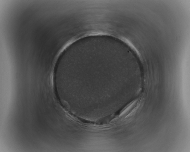 X0000115371173200911101240