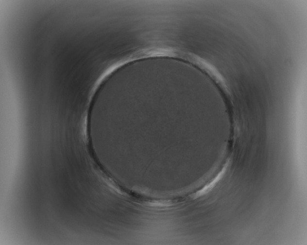 X0000115371174200911101240