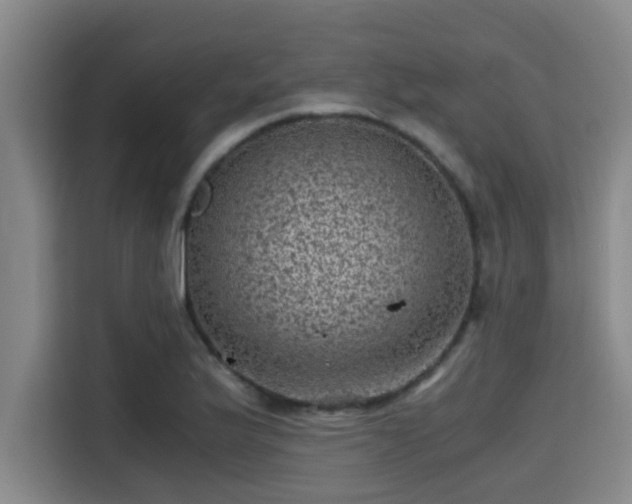 X0000115371175200911101240