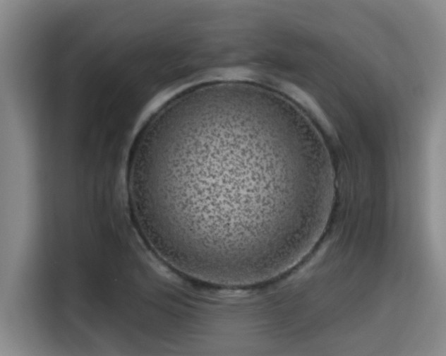 X0000115371176200911101240