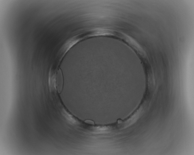 X0000115371177200911101240