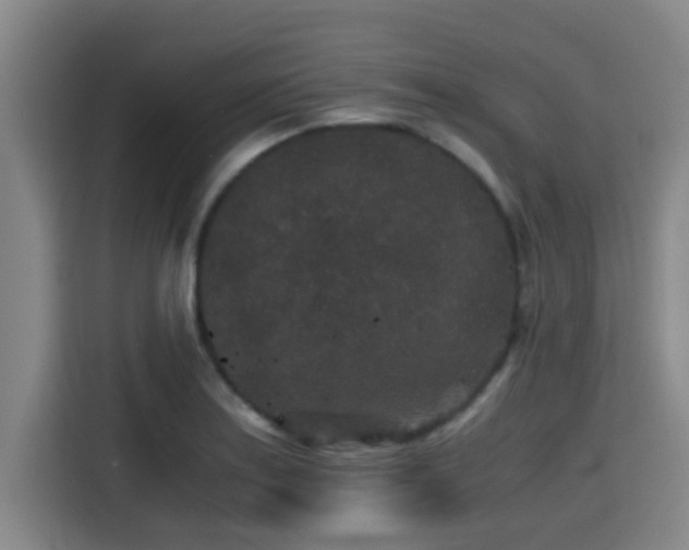 X0000115371179200911101240