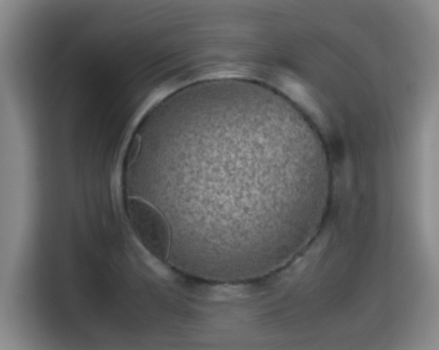 X0000115371181200911101240
