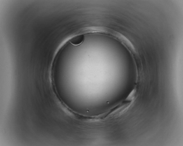 X0000115371182200911101240
