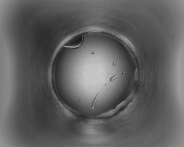 X0000115371183200911101240