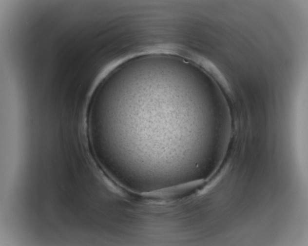 X0000115371184200911101240