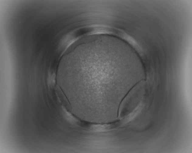 X0000115371185200911101240