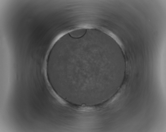 X0000115371187200911101240
