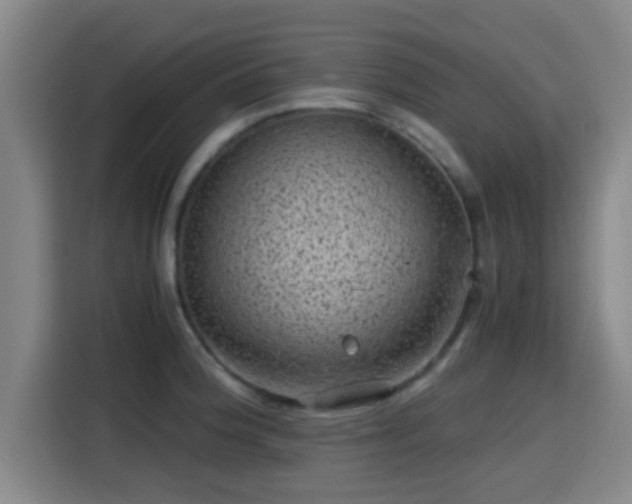 X0000115371188200911101240