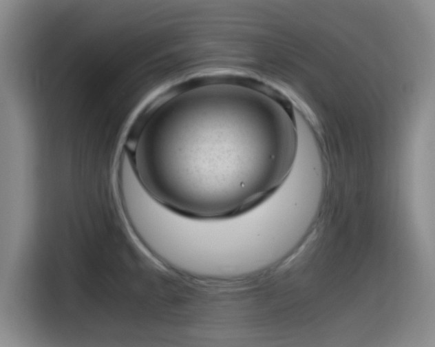 X0000115371189200911101240