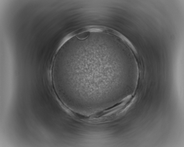 X0000115371194200911101240