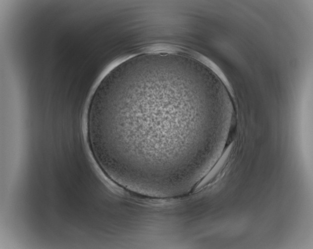 X0000115371195200911101240
