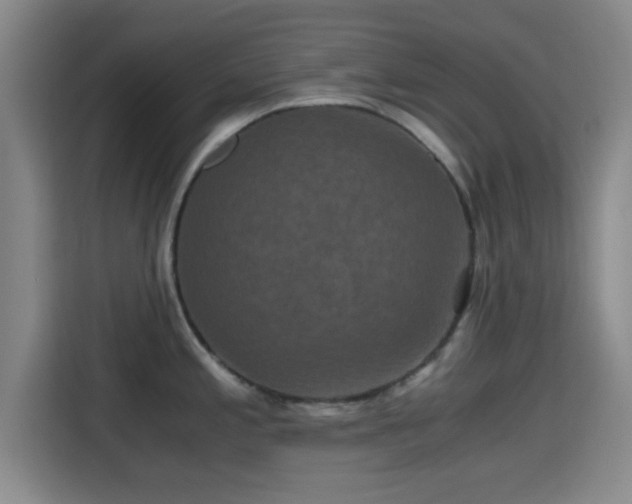 X0000115371197200911101240