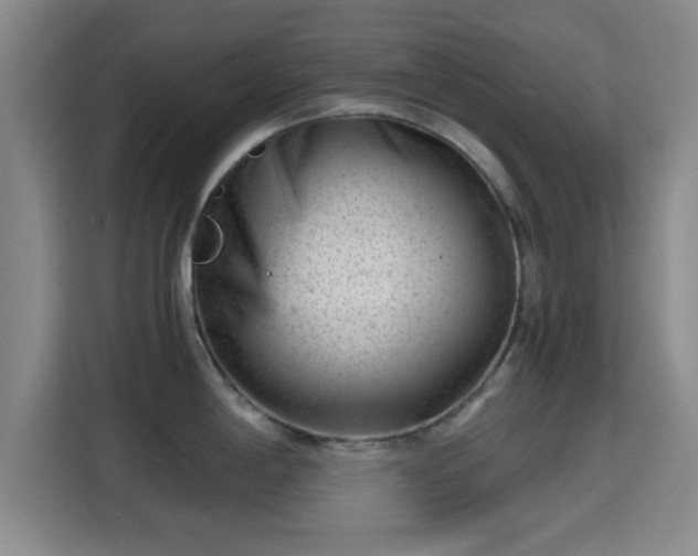 X0000115371198200911101240