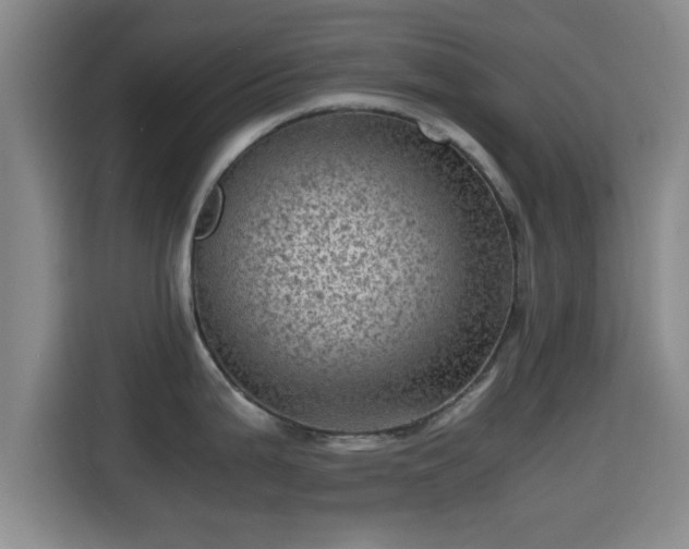 X0000115371199200911101240