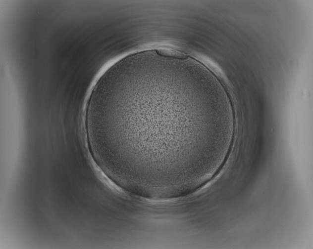 X0000115371200200911101240