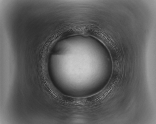 X0000115371201200911101239