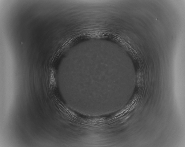 X0000115371202200911101239