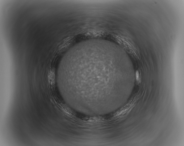 X0000115371203200911101239