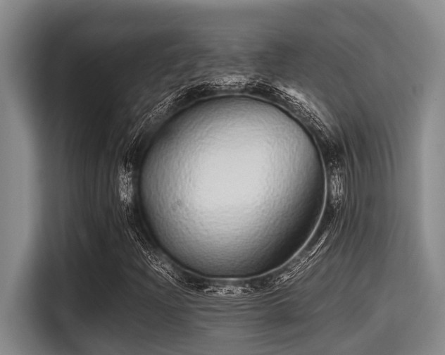 X0000115371204200911101239