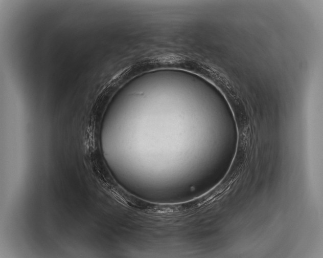X0000115371205200911101239