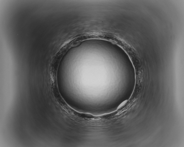 X0000115371206200911101239