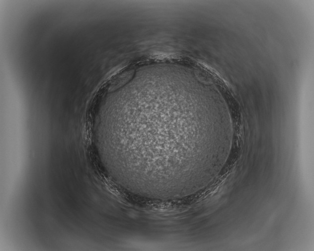 X0000115371207200911101239